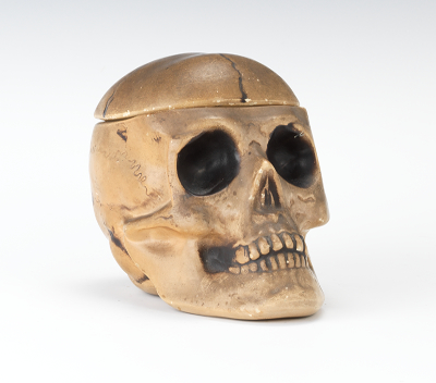 A Skull Humidor England Matte
