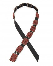 A SOUTHWEST CLUSTER SET CORAL