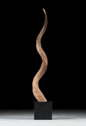 A SPIRAL ANTELOPE OR KUDU HORN