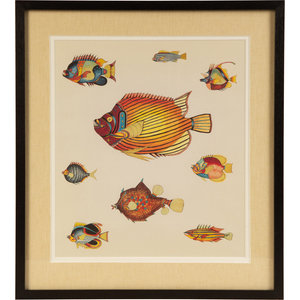 A Suite of Thirteen Framed Giclee