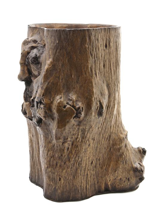 A Tree Trunk Specimen hollowed