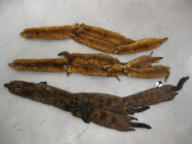 A trio of Mink Wraps.