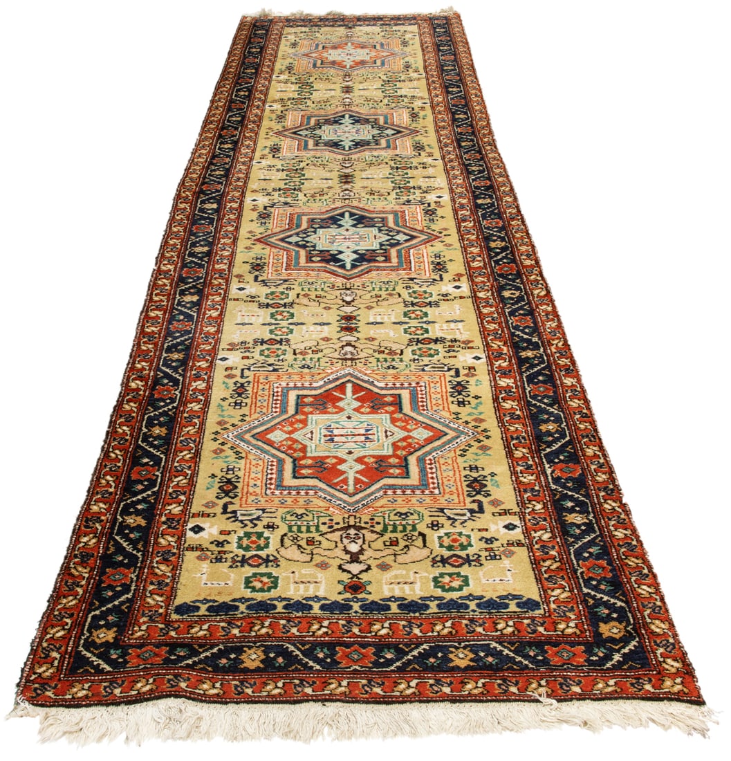 A TURKISH RUNNERA Turkish runner,