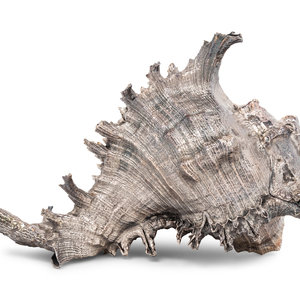 A Verdura Silver-Plate Conch