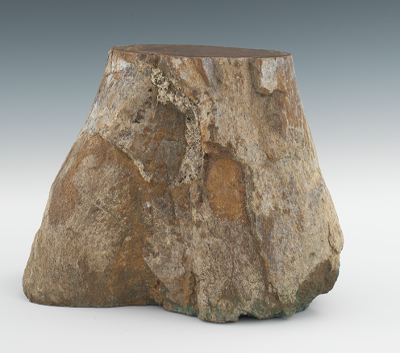 A Very Large Fossilized Dinosaur