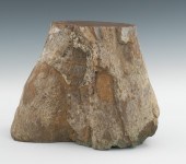 A Very Large Fossilized Dinosa