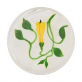 A Victor Trabucco Yellow Bloss
