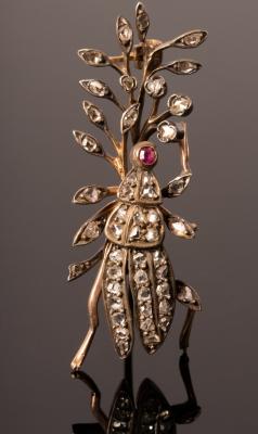 A Victorian diamond insect