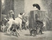 A Victorian Steel Engraving Pr