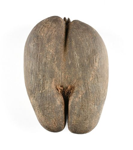 A VINTAGE COCO DE MER FERTILITY