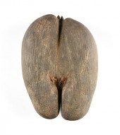 A VINTAGE COCO DE MER FERTILIT