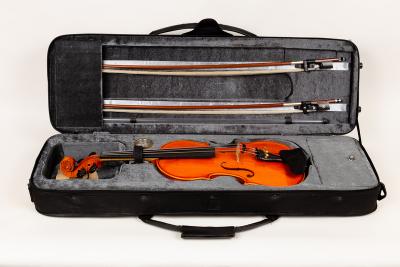 A violin by Strunal, Czech