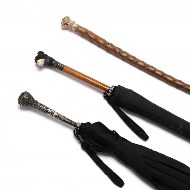 A WALKING STICK AND TWO
