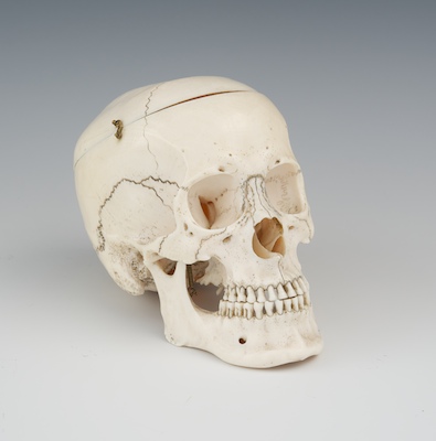 A Well Carved Ivory Model of a