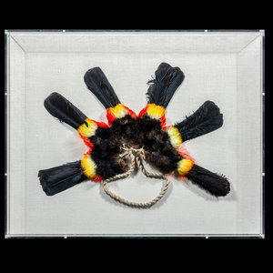 A Yanomami Feather Armband