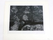 AARON SISKIND, 1903 TO 1991, P