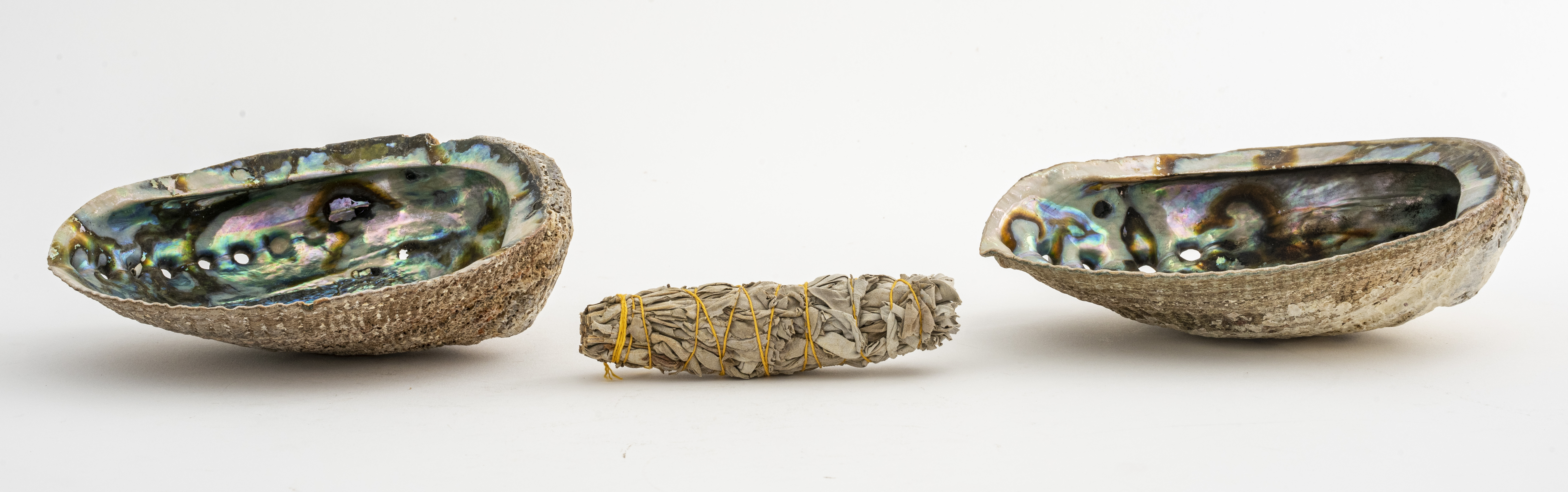 ABALONE SHELLS WITH SAGE SMUDGE