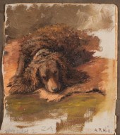 ABBY RHODA WILLIAMS HILL (WASH