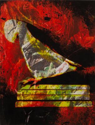 Abigail Fallis (born 1968)/Bird