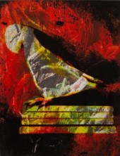Abigail Fallis (born 1968)/Bir