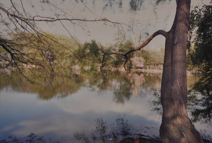 ADAM BARTOS (b. 1953): SAN REMO