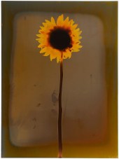 ADAM FUSS (B. 1961) ''UNTITLED