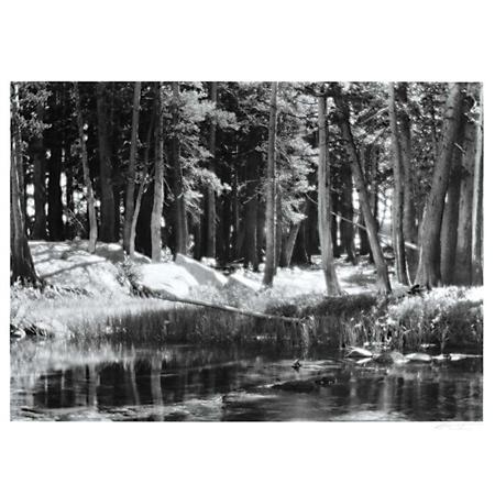 ADAMS, ANSEL (1902-1984)