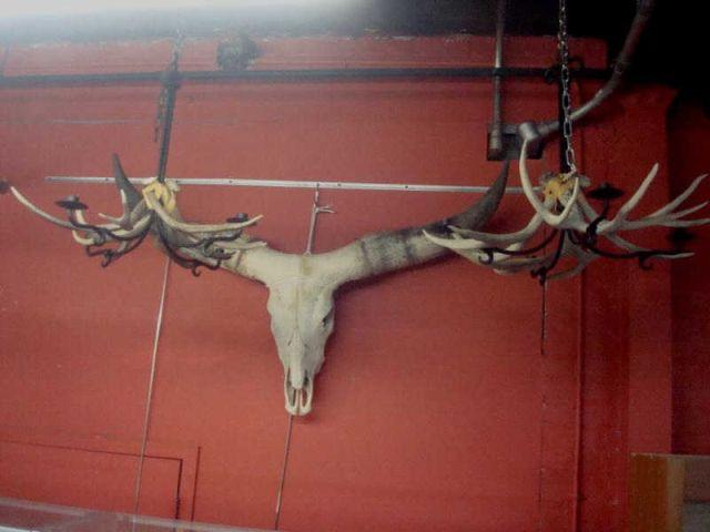 Adirondack Lot. 2 horn