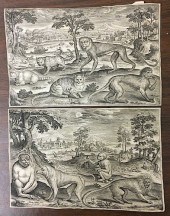 ADRIAN COLLAERT MONKEYS FELINE