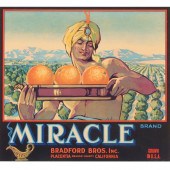 ADVERTISING LITHOGRAPH FRUIT C