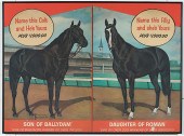 [Advertising] Son of Ballydam