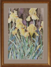 A.E. SHERER: YELLOW BEARDED IR
