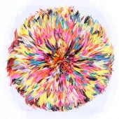 AFRICAN BAMILEKE FEATHERED HEA