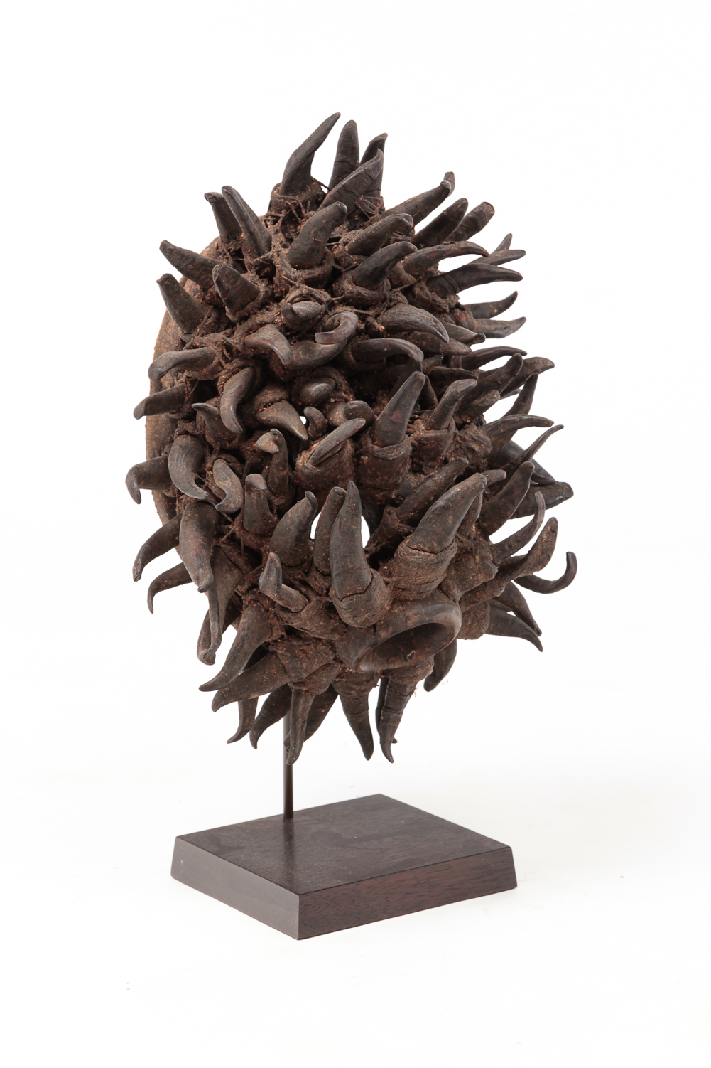AFRICAN GUERE HORN MASK. Liberia,