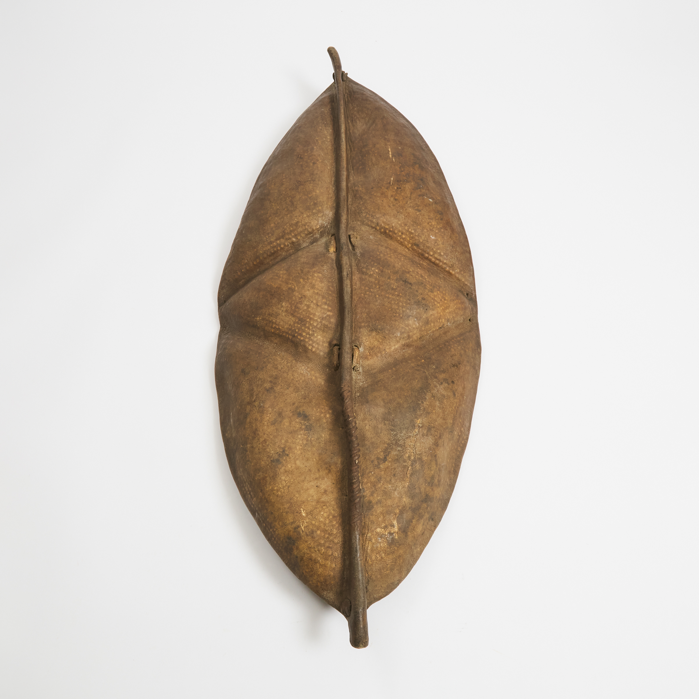 African Hide Shield, possibly