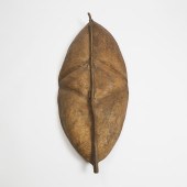 African Hide Shield, possibly