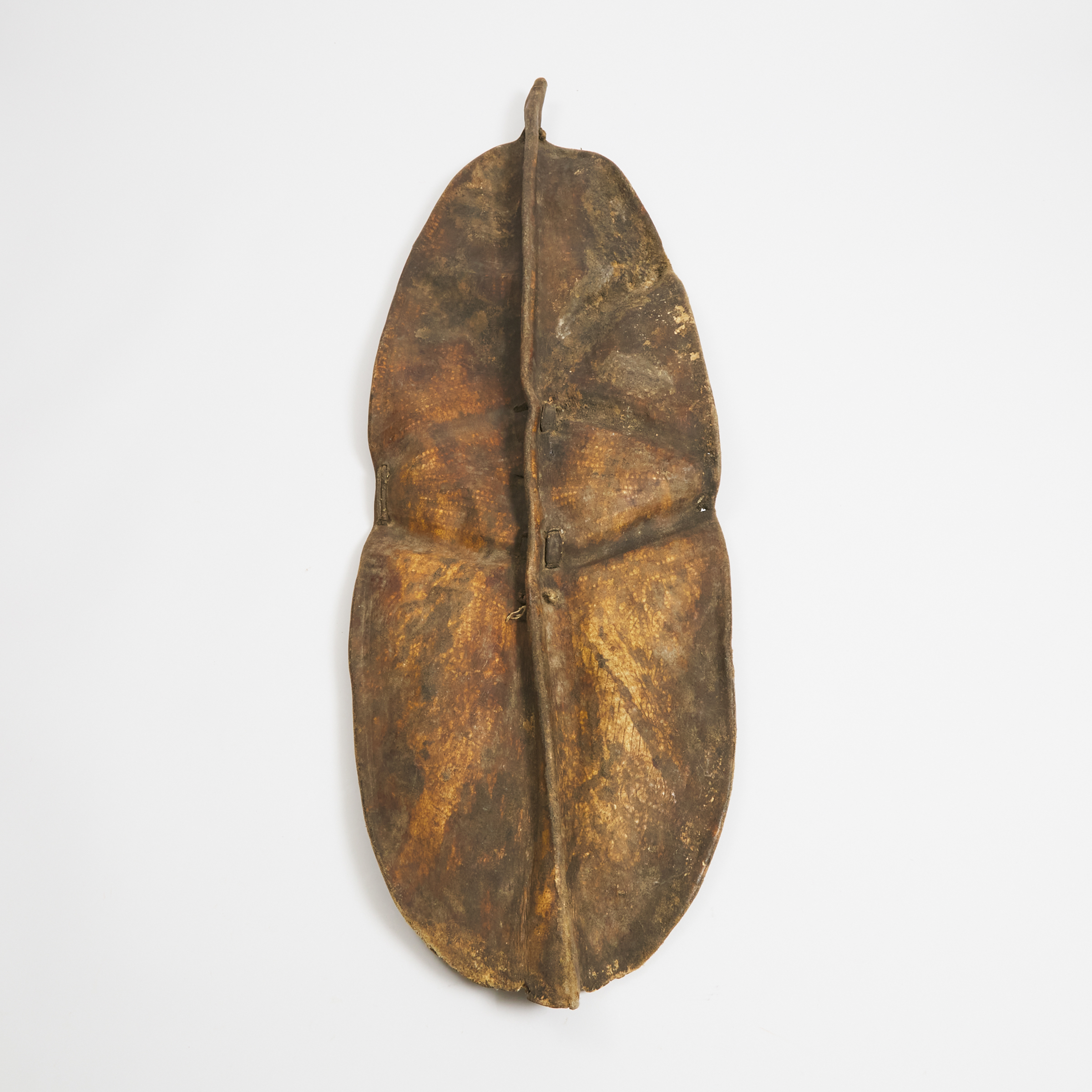 African Hide Shield, possibly