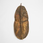 African Hide Shield, possibly