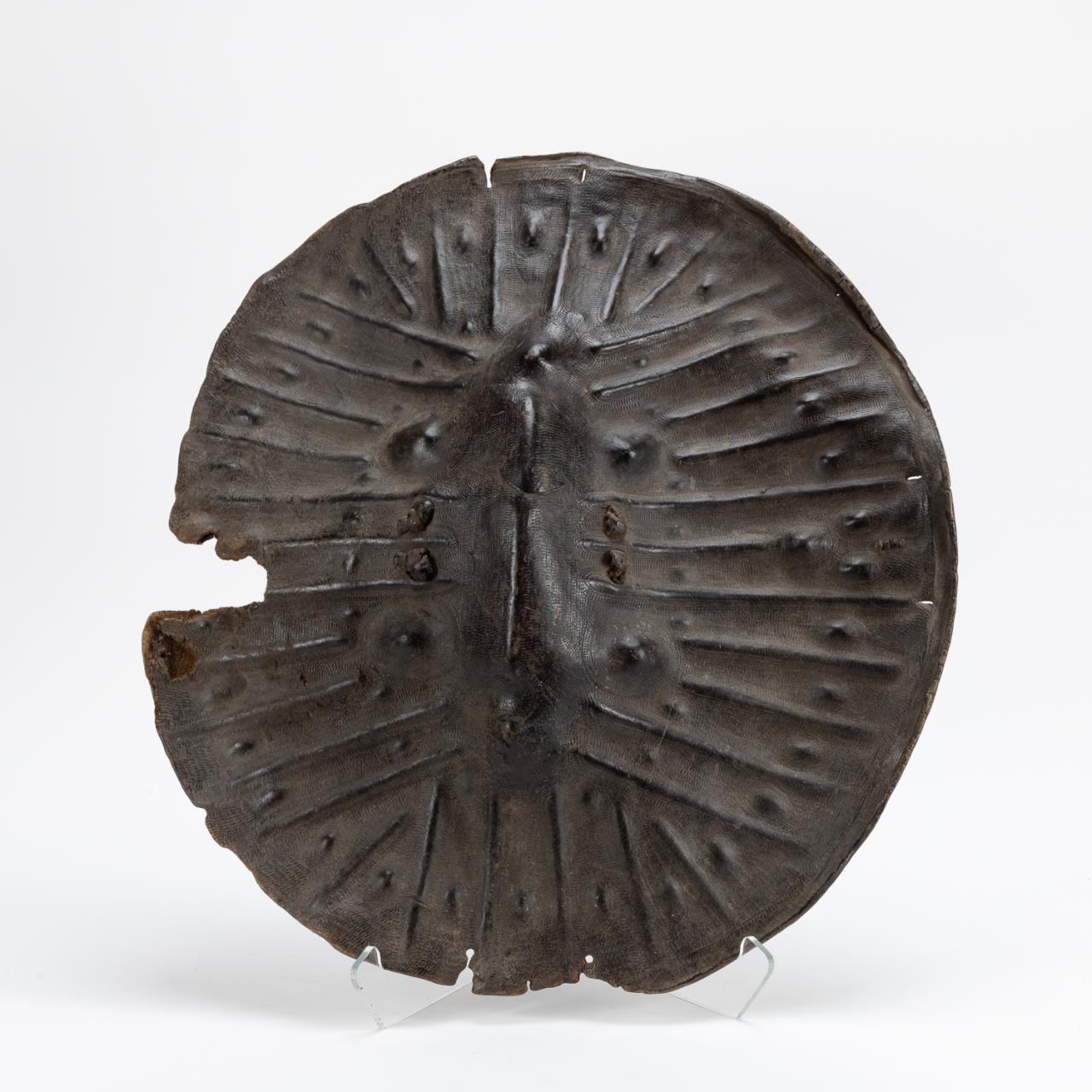 AFRICAN L. 19TH C. ETHIOPIAN HIDE