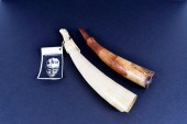 AFRICAN MANGBETU CARVED HORN A
