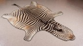AFRICAN ZEBRA SKIN FLOOR RUG,