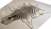 AFRICAN ZEBRA SKIN FLOOR RUGAF