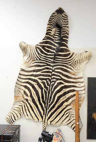 AFRICAN ZEBRA SKIN RUG, 98" X