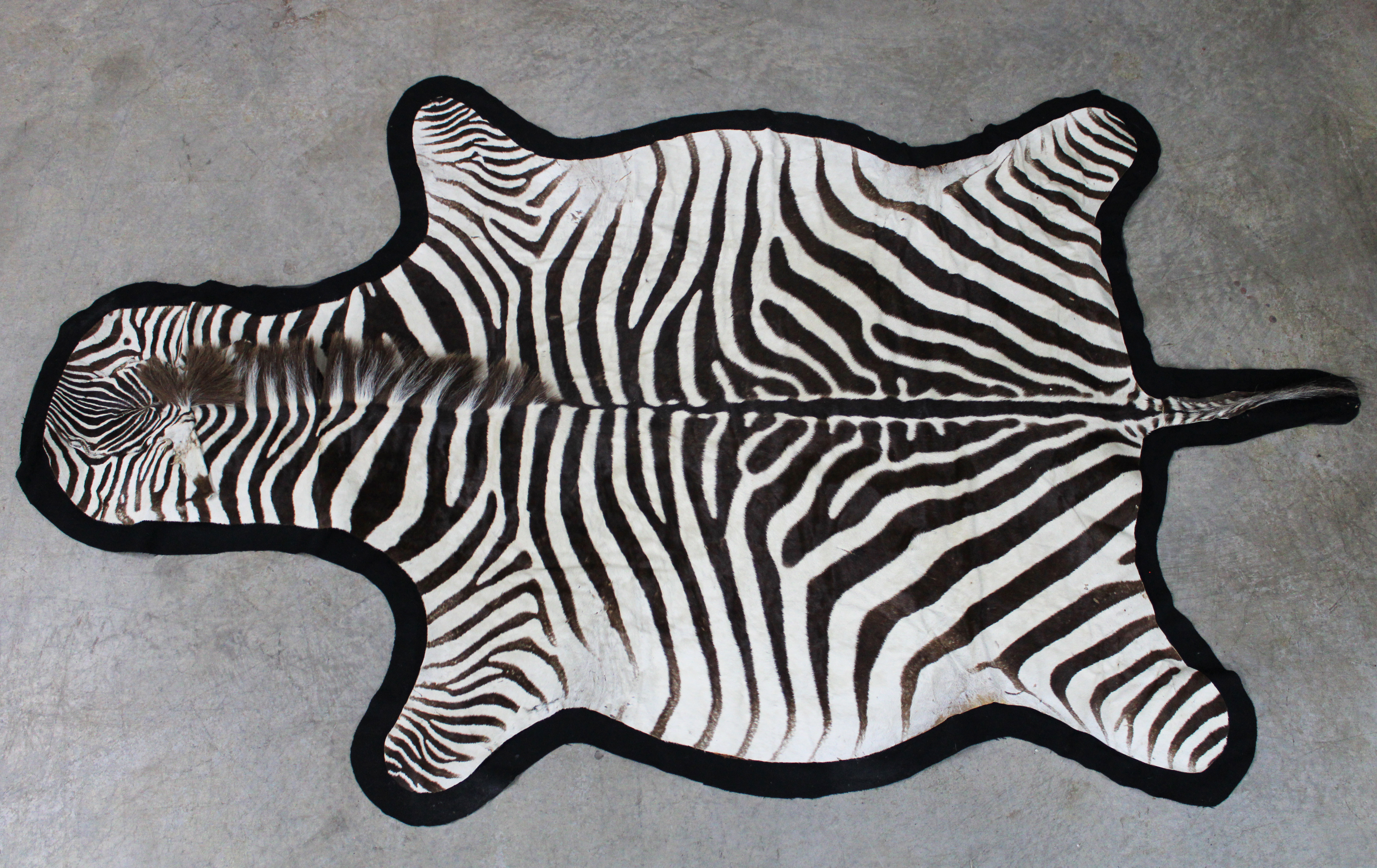 AFRICAN ZEBRA SKIN RUG AFRICAN