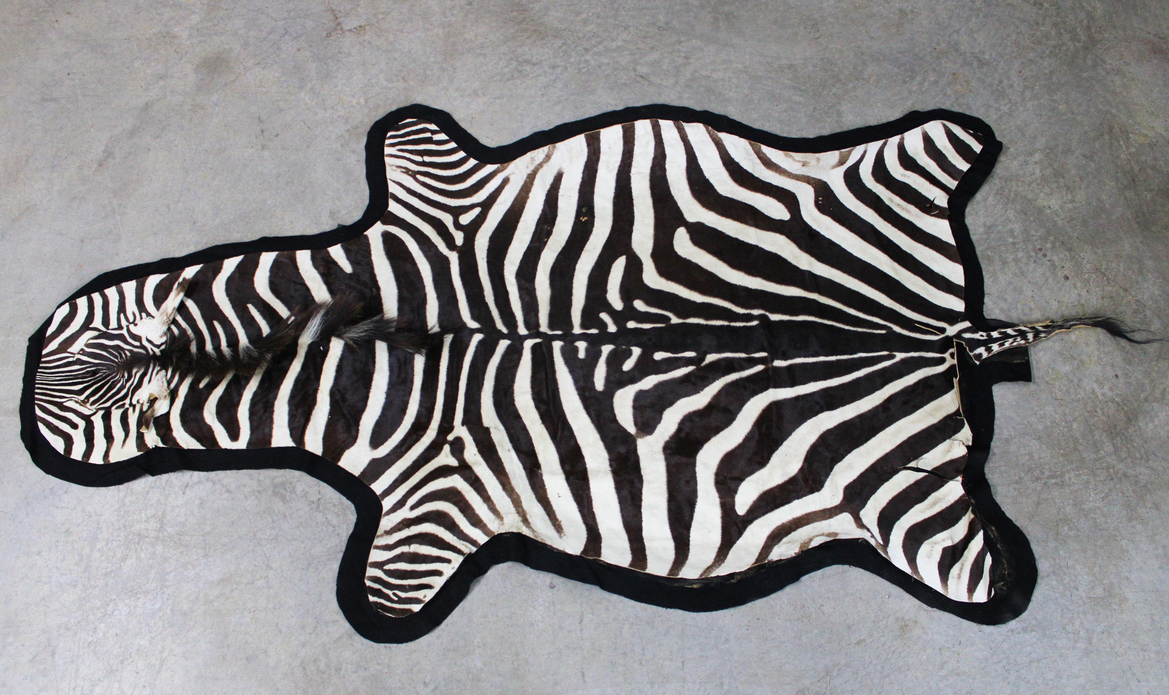 AFRICAN ZEBRA SKIN RUG AFRICAN