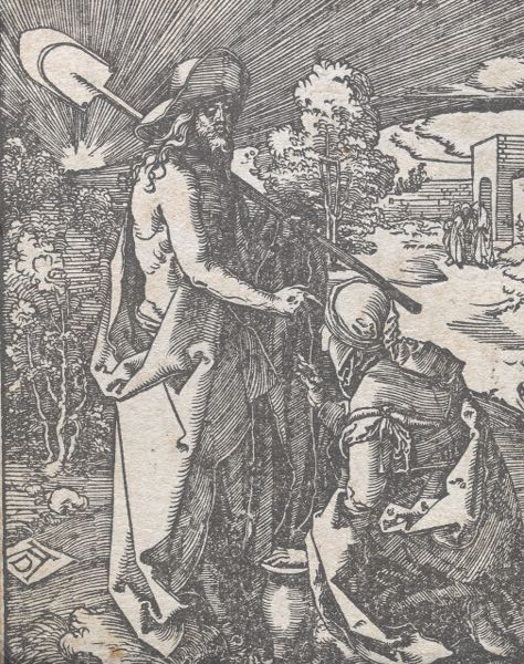 AFTER ALBRECHT DURER (GERMAN,