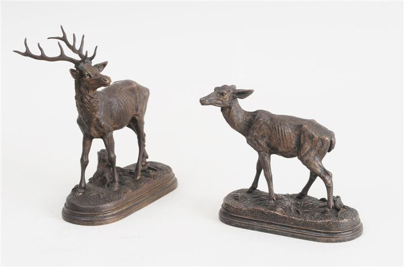 AFTER ALFRED DUBUCAND: DOE AND