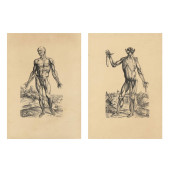 AFTER ANDREUS VASALIUS (DUTCH,