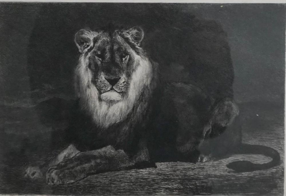 AFTER AUGUSTE ANDRE LANCON, LION DE