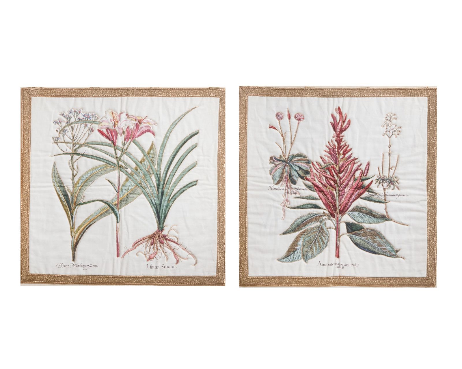 AFTER B. BELSER, AMARANTH; DAY LILY